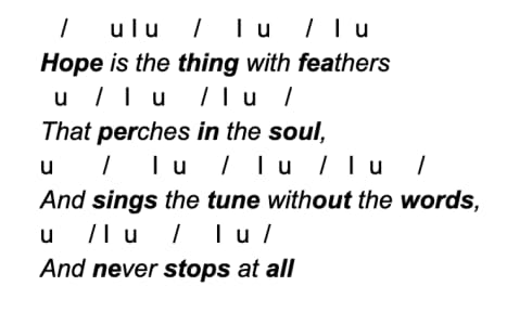 hope is the thing with feathers by Emily Dickinson verse