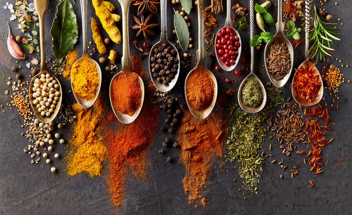 spice of life meaning