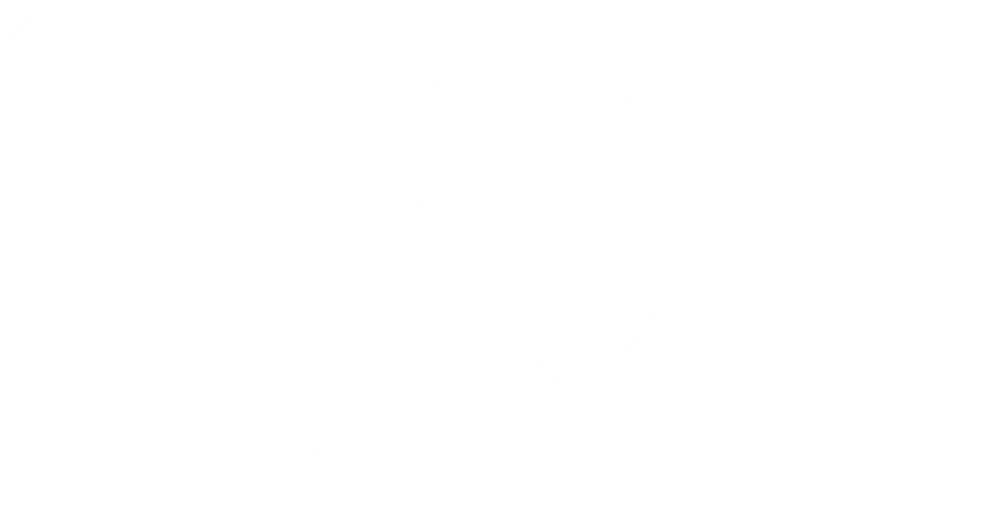 Steve Martin