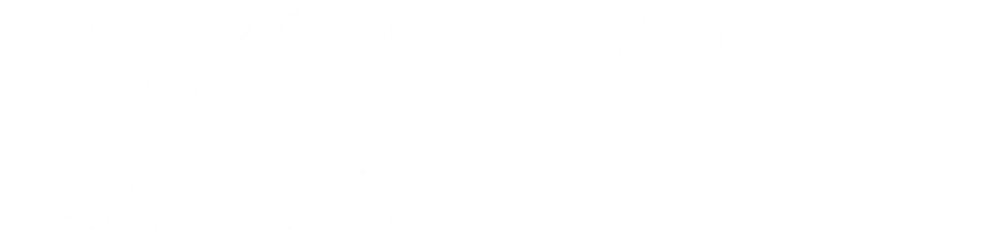 Joyce Carol Oates