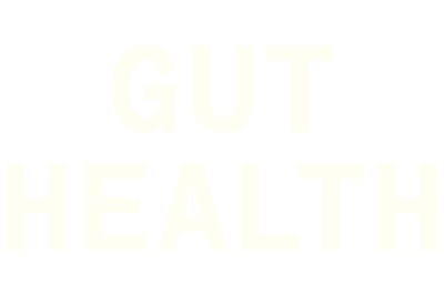 Gut Health