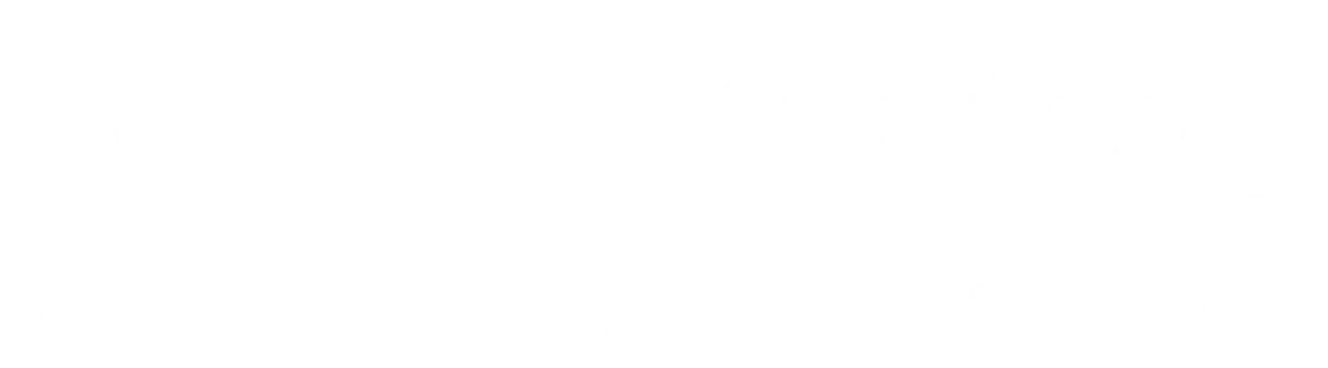 Amy Webb, Conor Grennan, and Nichol Bradford