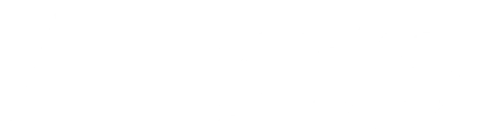 Amy Webb, Conor Grennan, and Nichol Bradford