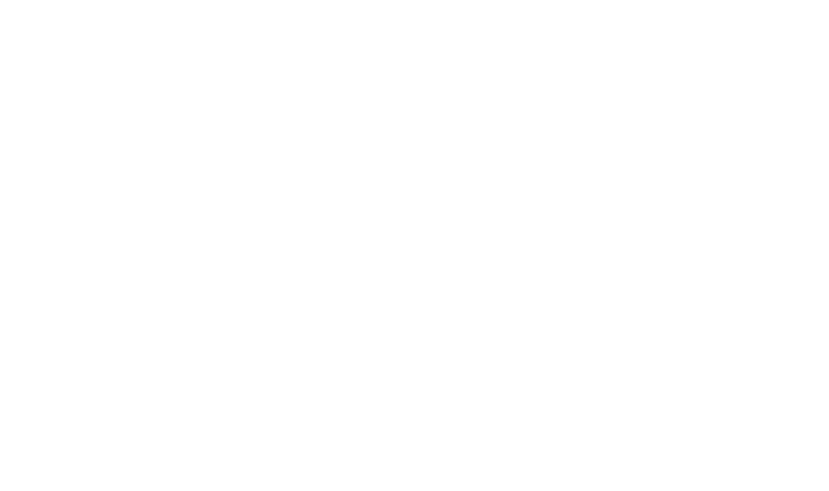 Dr. Amir Levine