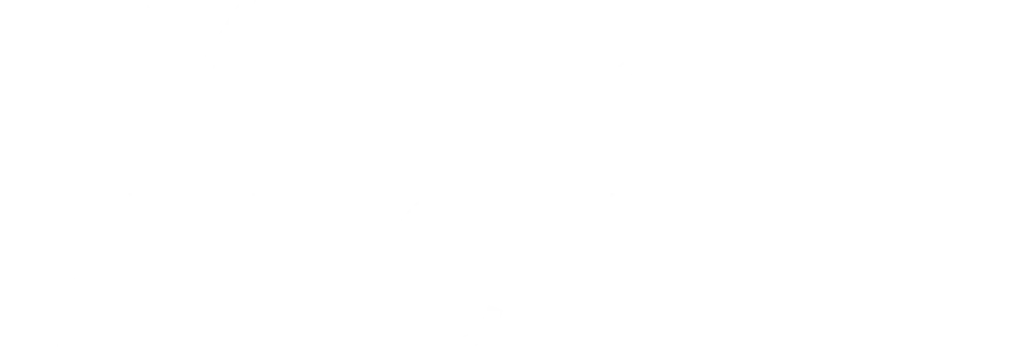 Tyler Mitchell