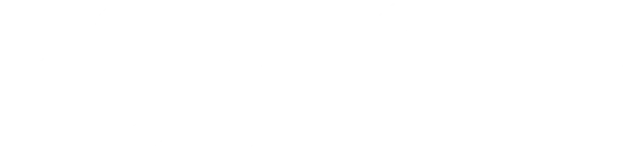 Bob Iger