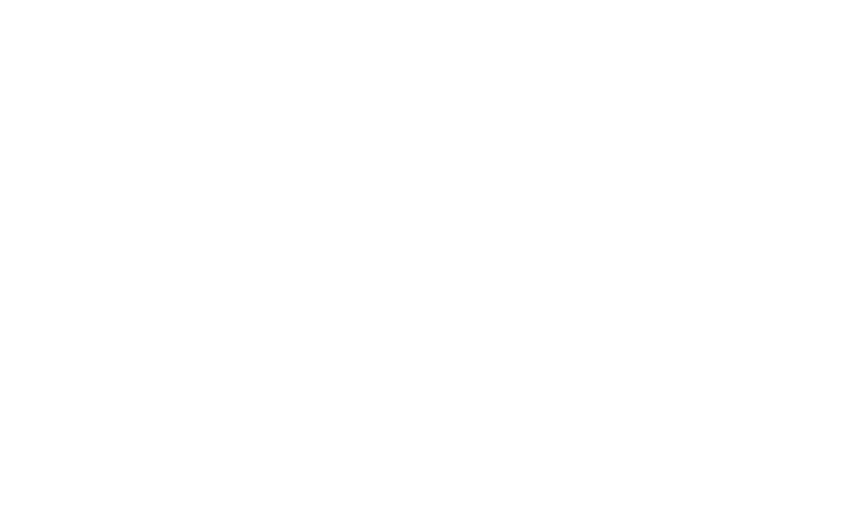 Dr. Amir Levine