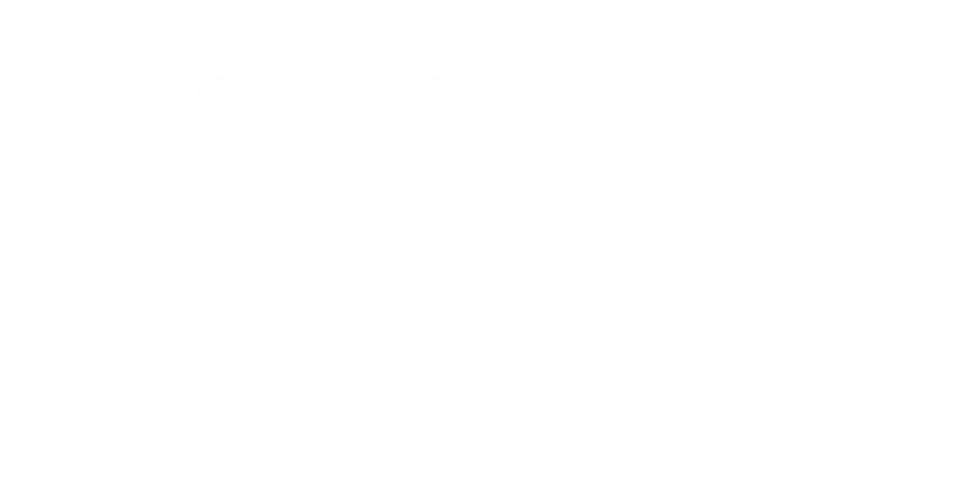 Tan France