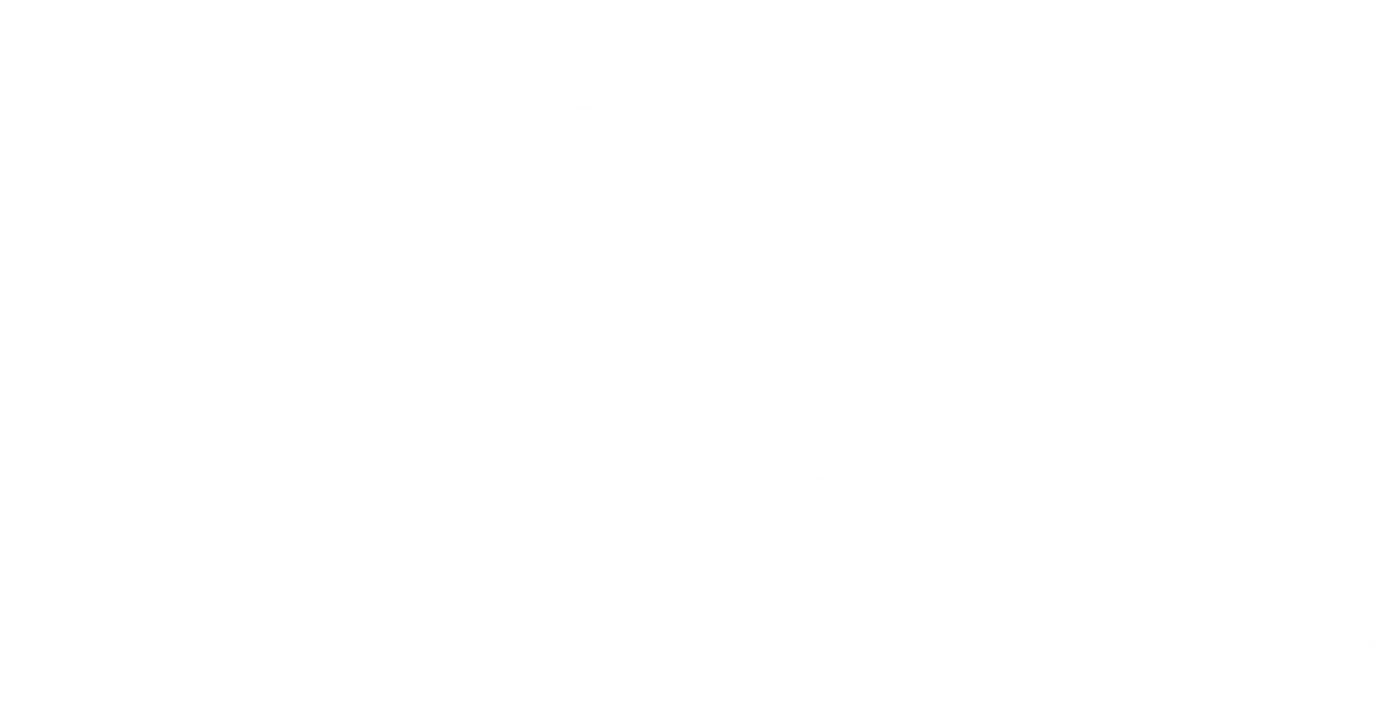 Tan France