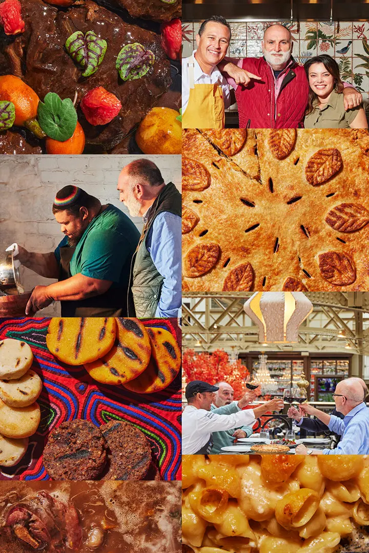 Masterclass Categories