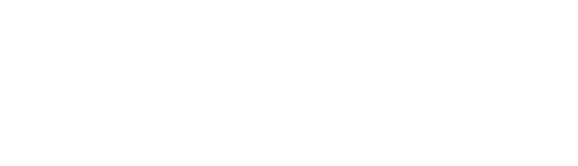 Annie Leibovitz