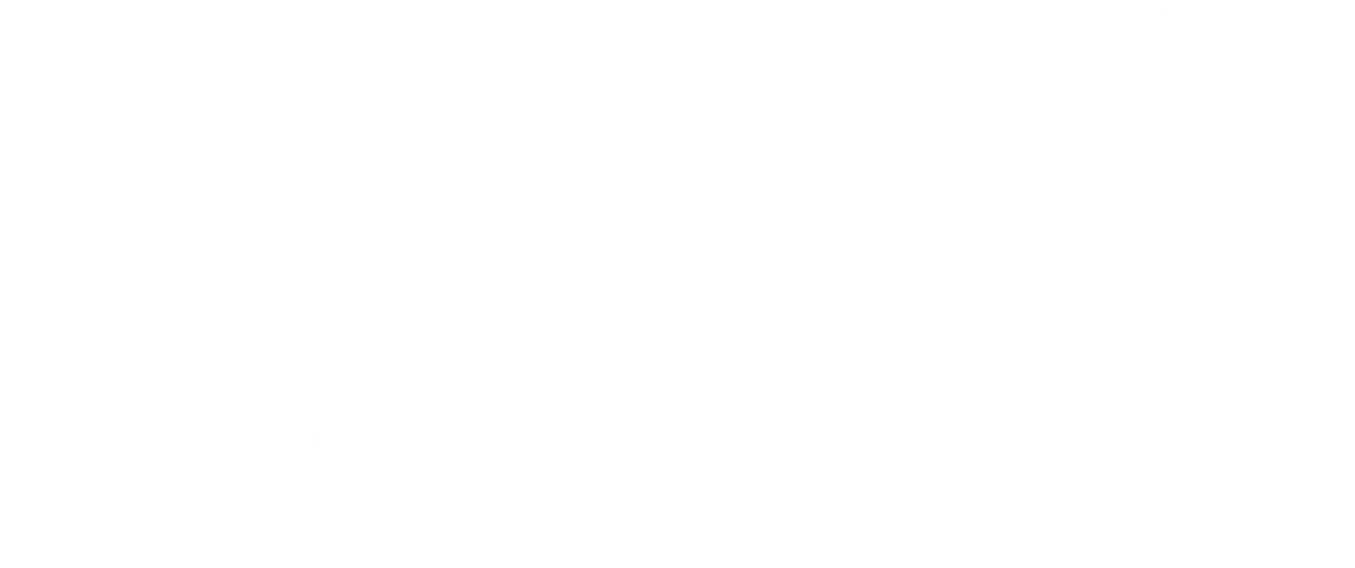 David Axelrod and Karl Rove