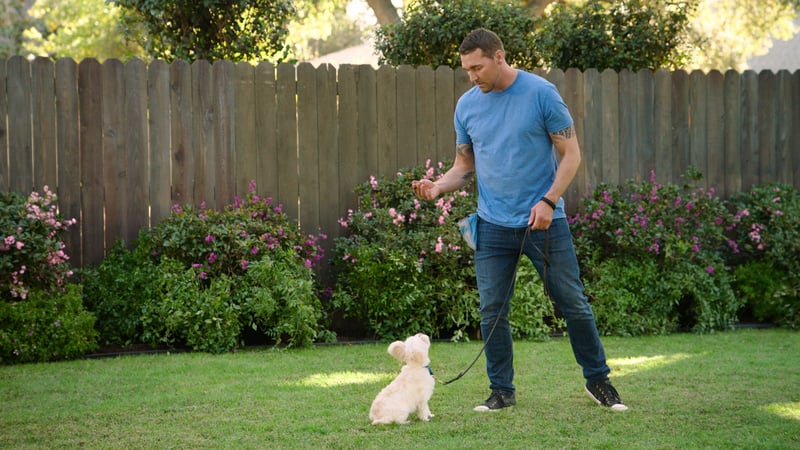 brandon mcmillan training