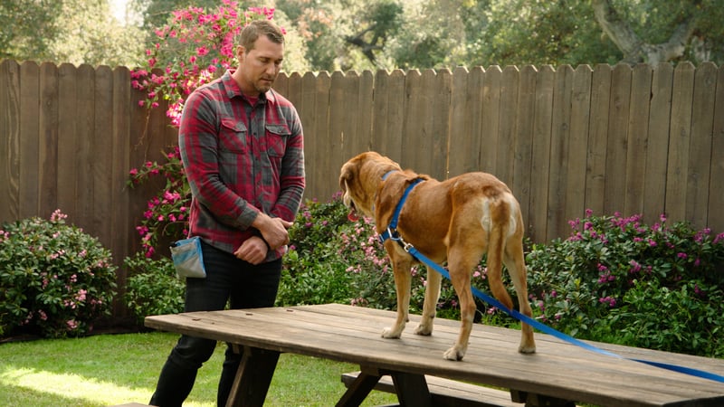 brandon mcmillan training