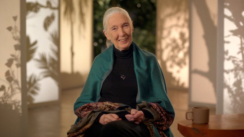 Humans The Environment Dr Jane Goodall Teaches Conservation