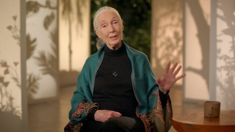 The Next Generation Dr Jane Goodall Teaches Conservation